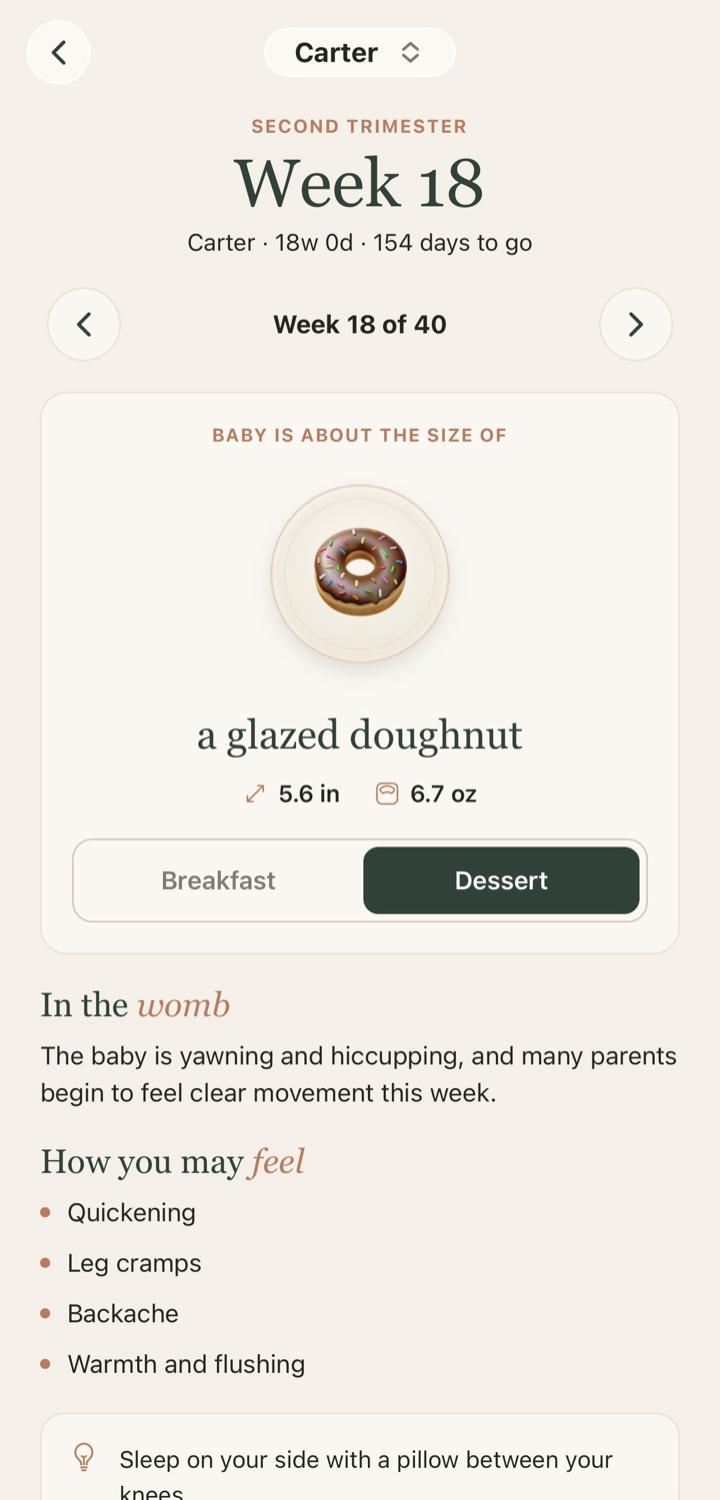 Pregnancy tracker screen. Follow your pregnancy week by week, with a due-date countdown, a size guide, and what to expect.